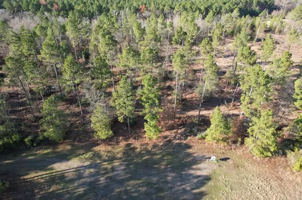 Beckville, TX 75631,TBD-D County Road 216