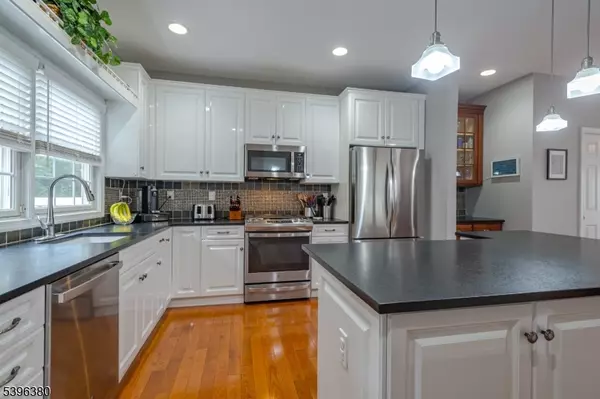 Scotch Plains Twp., NJ 07076,7 Riga Ct