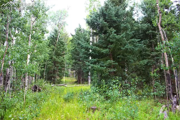 Cripple Creek, CO 80814,344 Grey Eagle DR