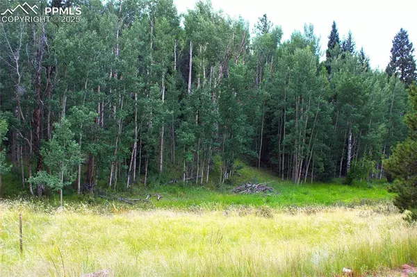 Cripple Creek, CO 80814,344 Grey Eagle DR