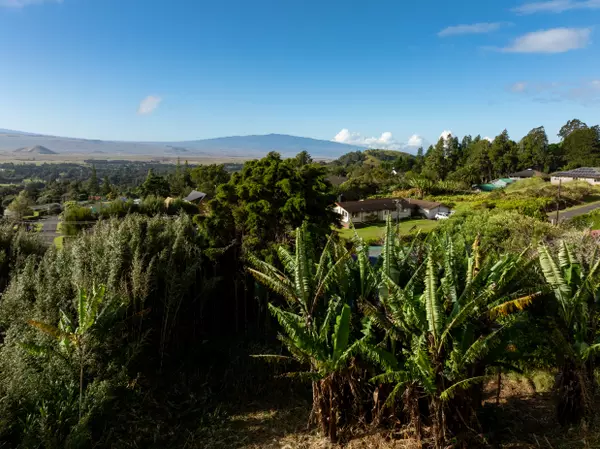 Kamuela, HI 96743,PUU NANEA ST #Lot 86