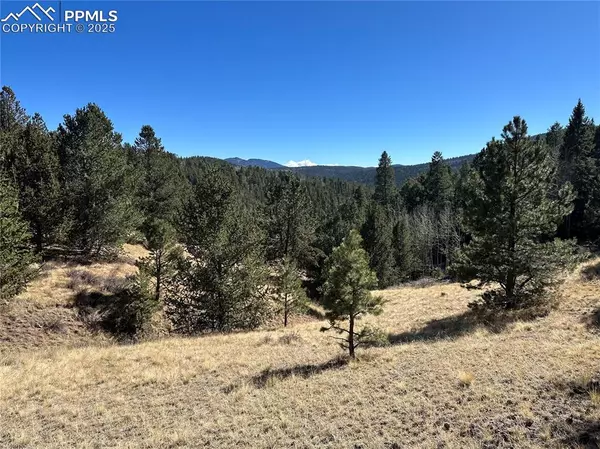 1196 Wellington DR, Cripple Creek, CO 80813