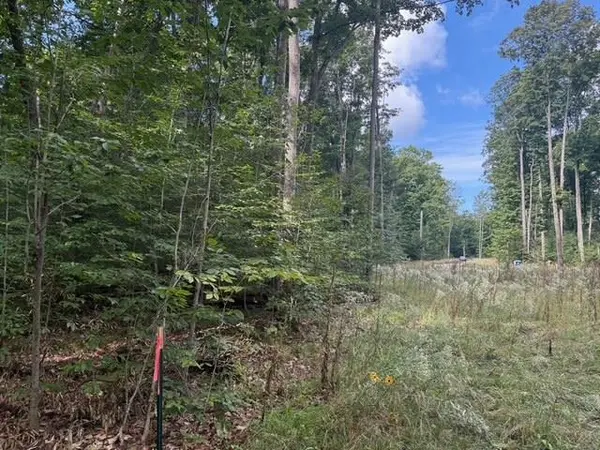 Empire, MI 49630,005 Kettle WAY