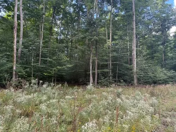 Empire, MI 49630,005 Kettle WAY