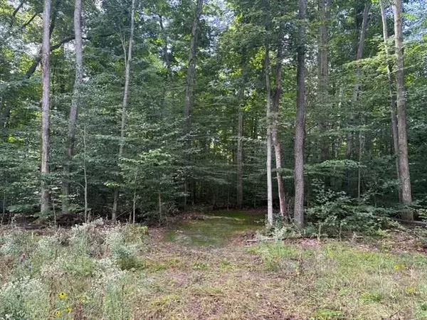 Empire, MI 49630,005 Kettle WAY