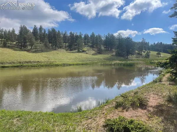 Florissant, CO 80816,247 Pinewood RD