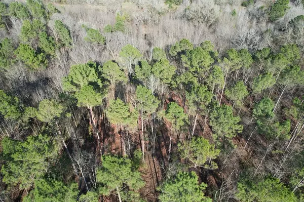 Beckville, TX 75631,TBD-A County Road 216