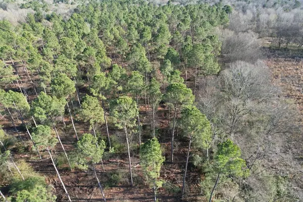 Beckville, TX 75631,TBD-A County Road 216