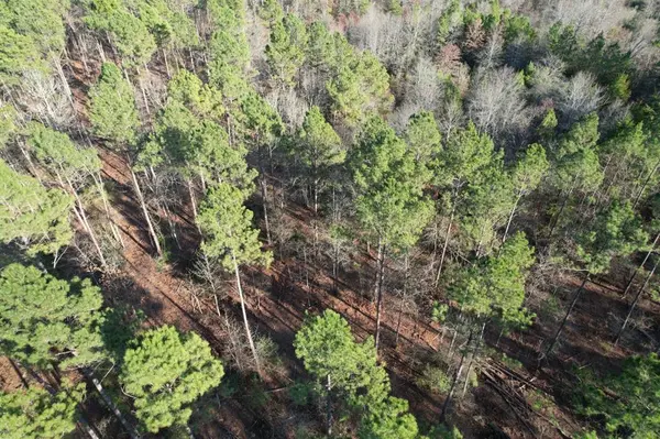 Beckville, TX 75631,TBD-E County Road 216