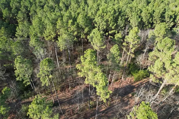 Beckville, TX 75631,TBD-E County Road 216