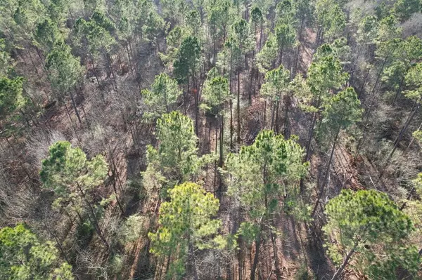 Beckville, TX 75631,TBD-E County Road 216