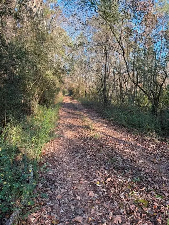 Beckville, TX 75631,TBD-E County Road 216