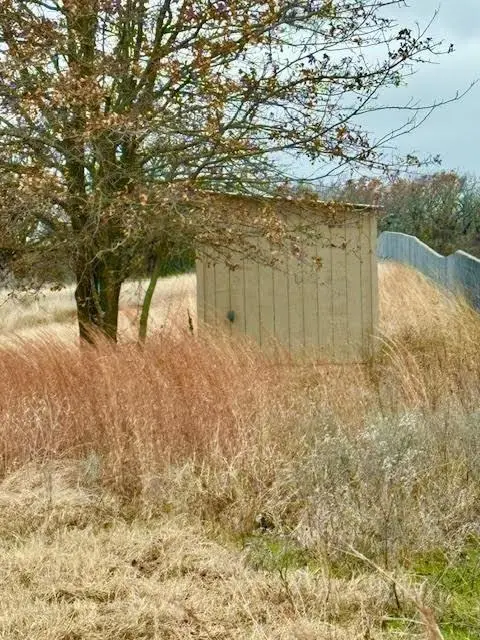 Boyd, TX 76023,702 County Road 3597