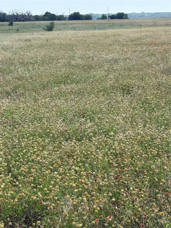 China Spring, TX 76633,TBD LOT 7 CR 3565