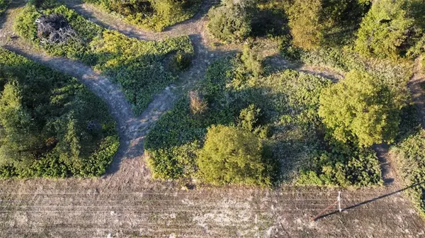 Nocona, TX 76255,TBD Muy Grande Road