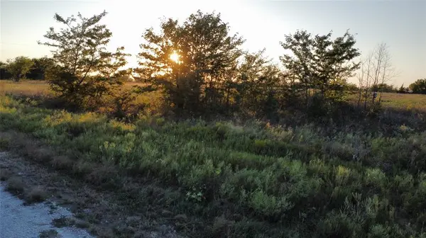 Nocona, TX 76255,TBD Muy Grande Road