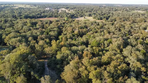 Nocona, TX 76255,TBD Muy Grande Road