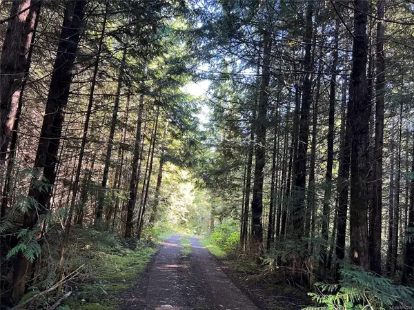 Port Alice, BC V0N 2N0,Lot 11 Alice Lake