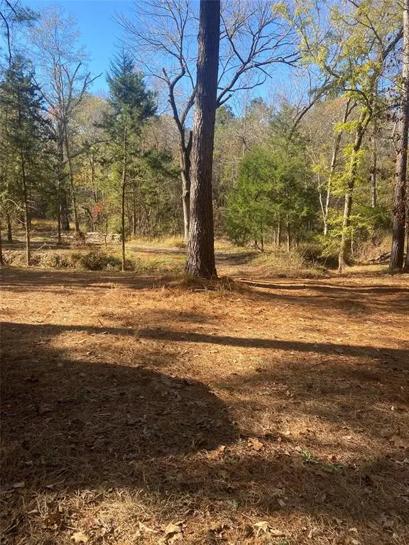 Ben Wheeler, TX 75754,44.2 Acres State Hwy 64