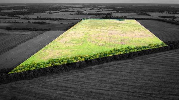 TBD CR 24800, Brookston, TX 75421