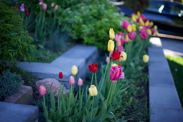 Toronto E05, ON M1T 2C4,222 Cass AVE #Main