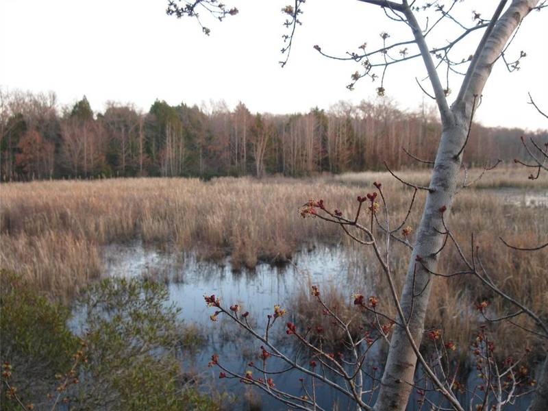 TBD 133 AC +- VZ County Road 4701, Ben Wheeler, TX 75754