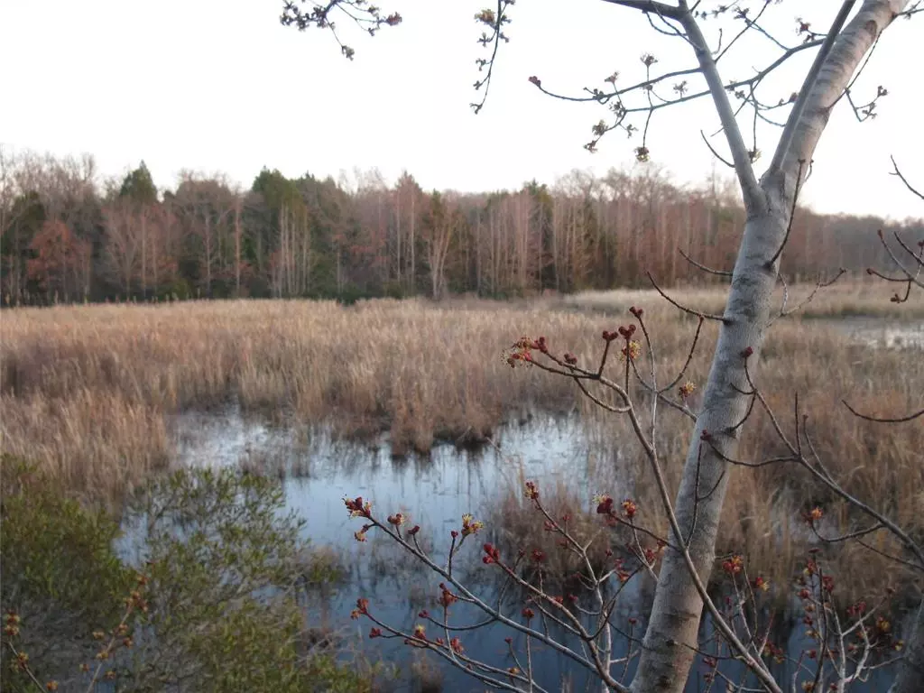 Ben Wheeler, TX 75754,TBD 133 AC +- VZ County Road 4701