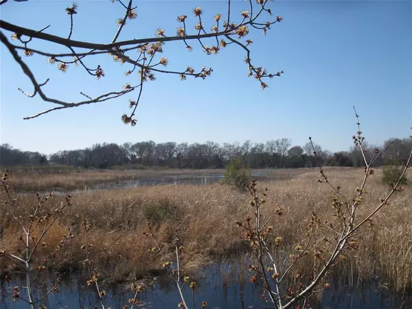 Ben Wheeler, TX 75754,TBD 133 AC +- VZ County Road 4701