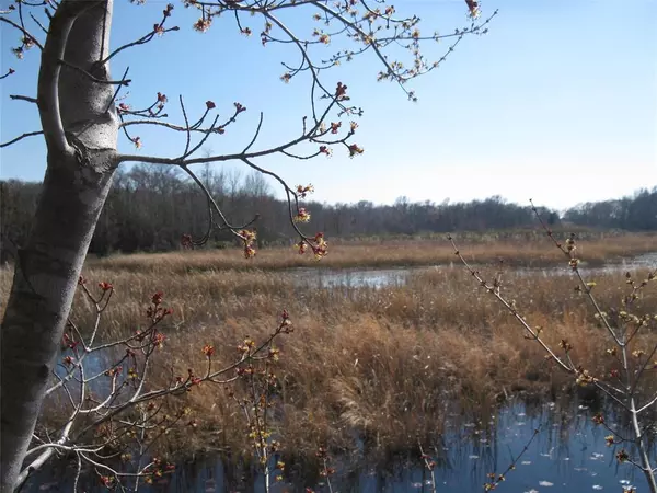 Ben Wheeler, TX 75754,TBD 133 AC +- VZ County Road 4701