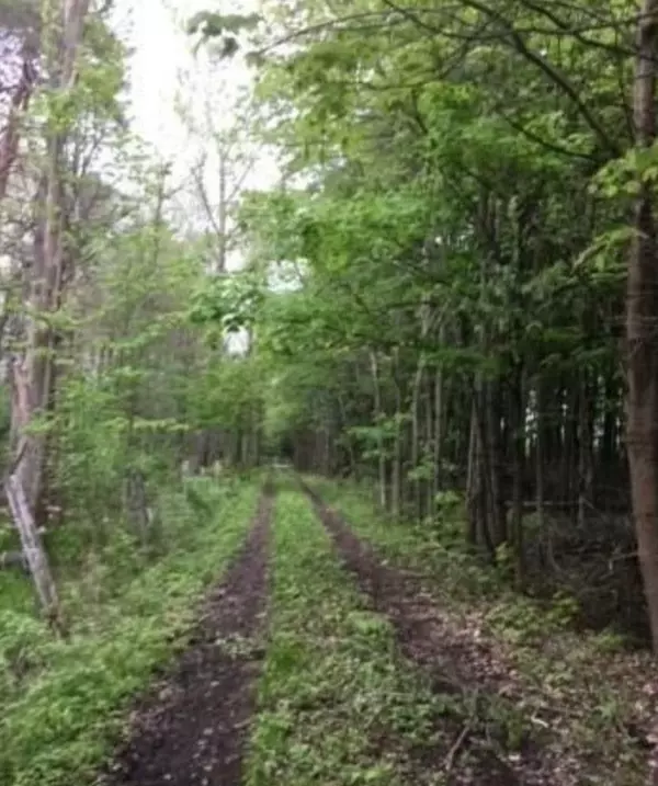 Kawartha Lakes, ON K0M 2T0,1049 Sandringham RD