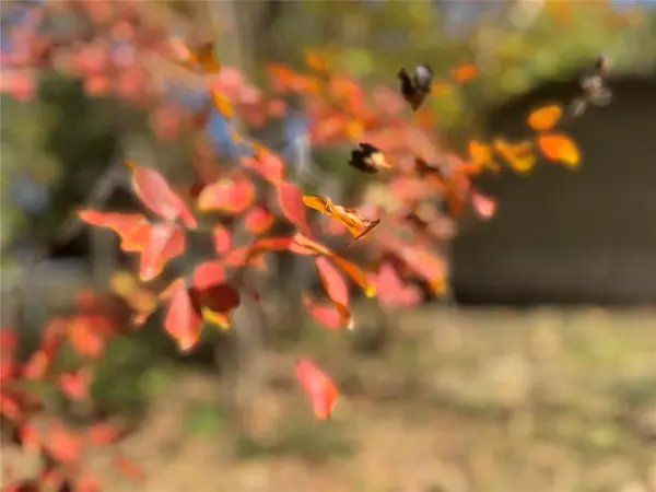 Paris, TX 75460,2250 W Kaufman Street