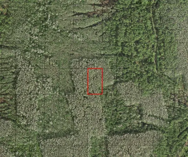 0 HOLOPAW GROVES RD, St. Cloud, FL 34772