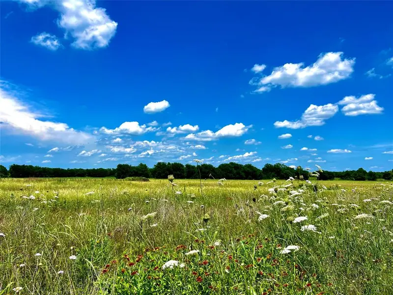 Lot 7 CR-590, Nevada, TX 75173