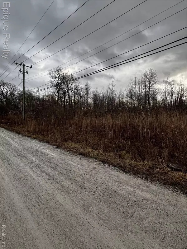 Fort Gratiot, MI 48059,VL Carrigan Rd