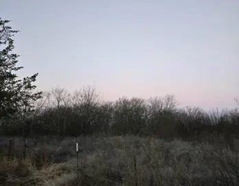 Hillsboro, TX 76645,0000 S WACO Street