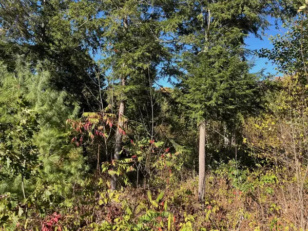 Traverse City, MI 49685,8824 Hemlock Hill DR