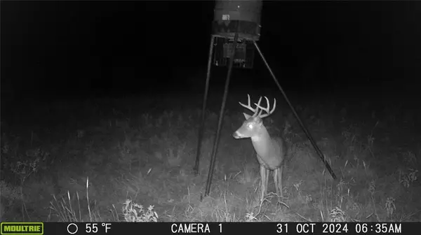 Rising Star, TX 76857,TBD CR 131