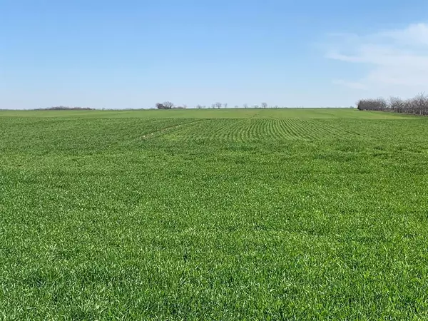 Collinsville, TX 76233,TBD Boren Road