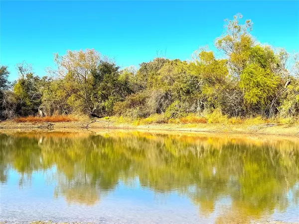 Perrin, TX 76486,1849 Two Bush Road