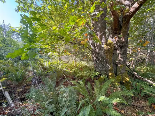 Gabriola Island, BC V0R 1X0,Lot 7 The Strand