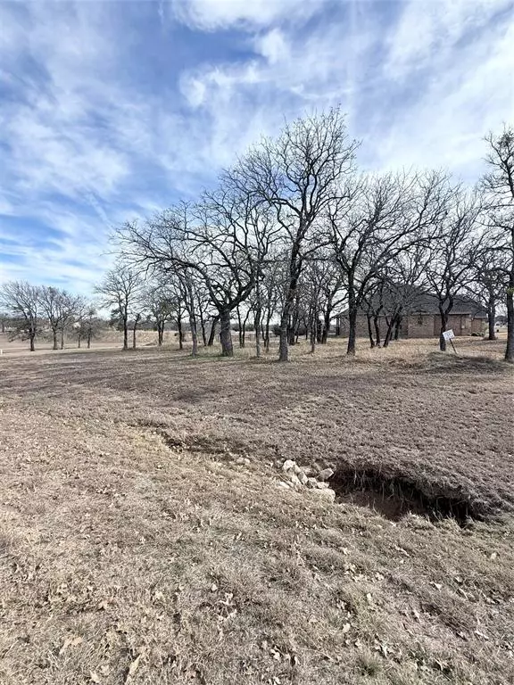 Lipan, TX 76462,Lot 17 Lakeside Drive
