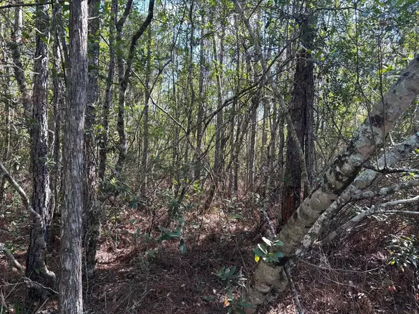 0 HOLOPAW GROVES RD, St. Cloud, FL 34772