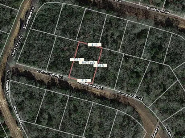 Lot 51 E Austin Colony,  Normangee,  TX 77871