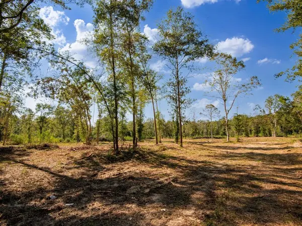 Livingston, TX 77351,152 Maze Road