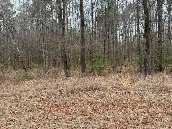 Plain Dealing, LA 71064,0 Highway 3