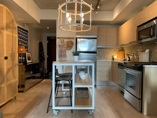 Toronto C01, ON M5V 2J5,25 Oxley ST #810