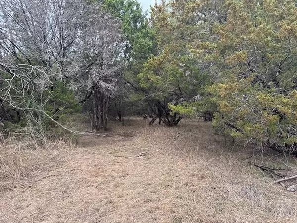 Whitney, TX 76692,1377 Spring Valley Trail