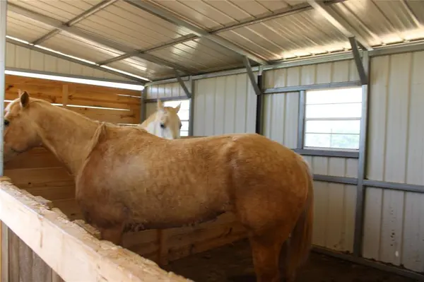 Gordon, TX 76453,1650 County Road 119