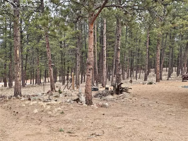 Florissant, CO 80816,480 Blue Mountain DR