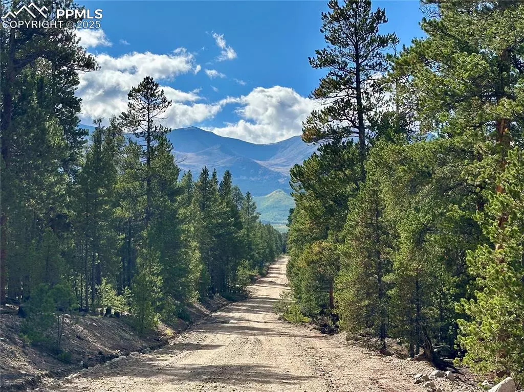 Leadville, CO 80461,143 Fir DR